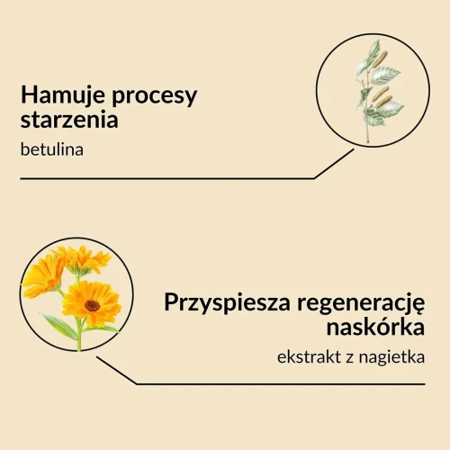 nagietek1.webp