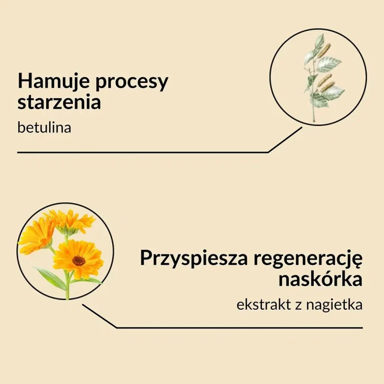 nagietek1.webp