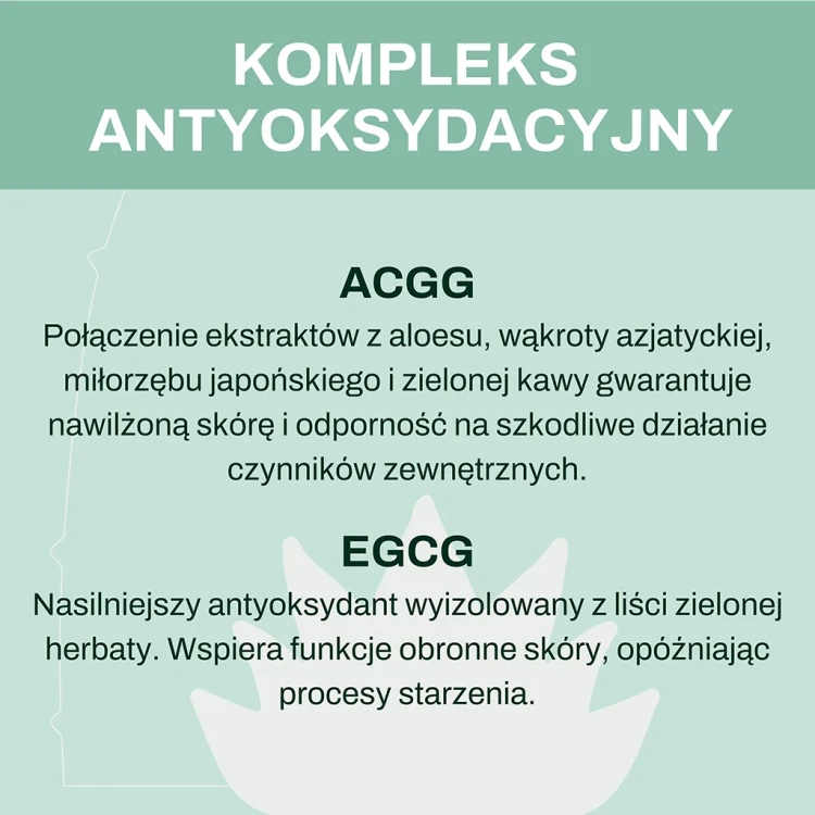 aloes-plyn3.webp