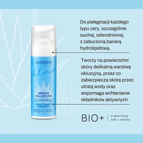 aloes-blue2.webp