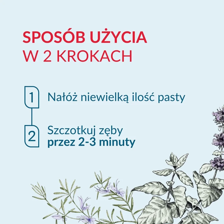 pasta-do-zebow4.webp
