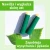 brzoza2.webp