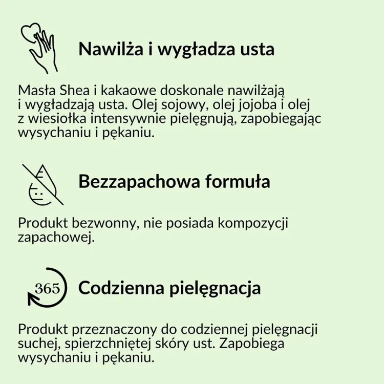 brzoza4.webp