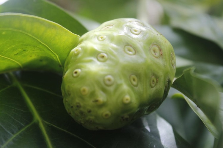 noni.jpg