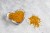 propolis.jpg